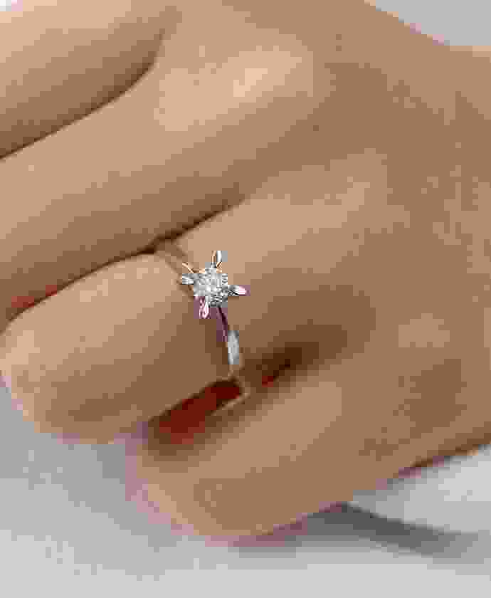 Shop Secondary Image Shop Secondary Image